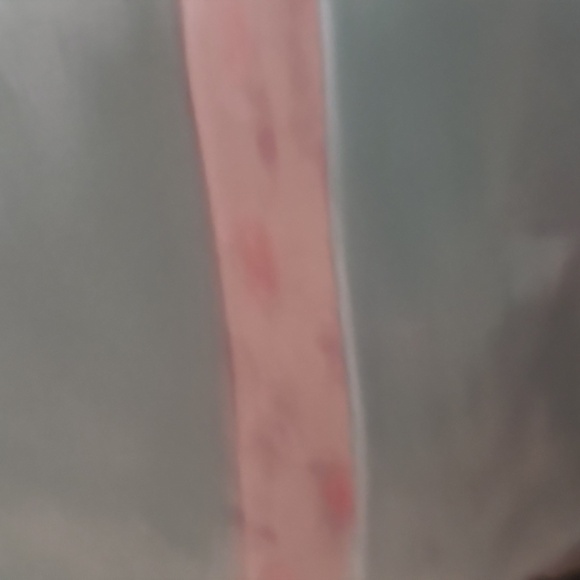 Dorgee squishmallows box lunch Exclusive 8 inch new Seal - Picture 6 of 7